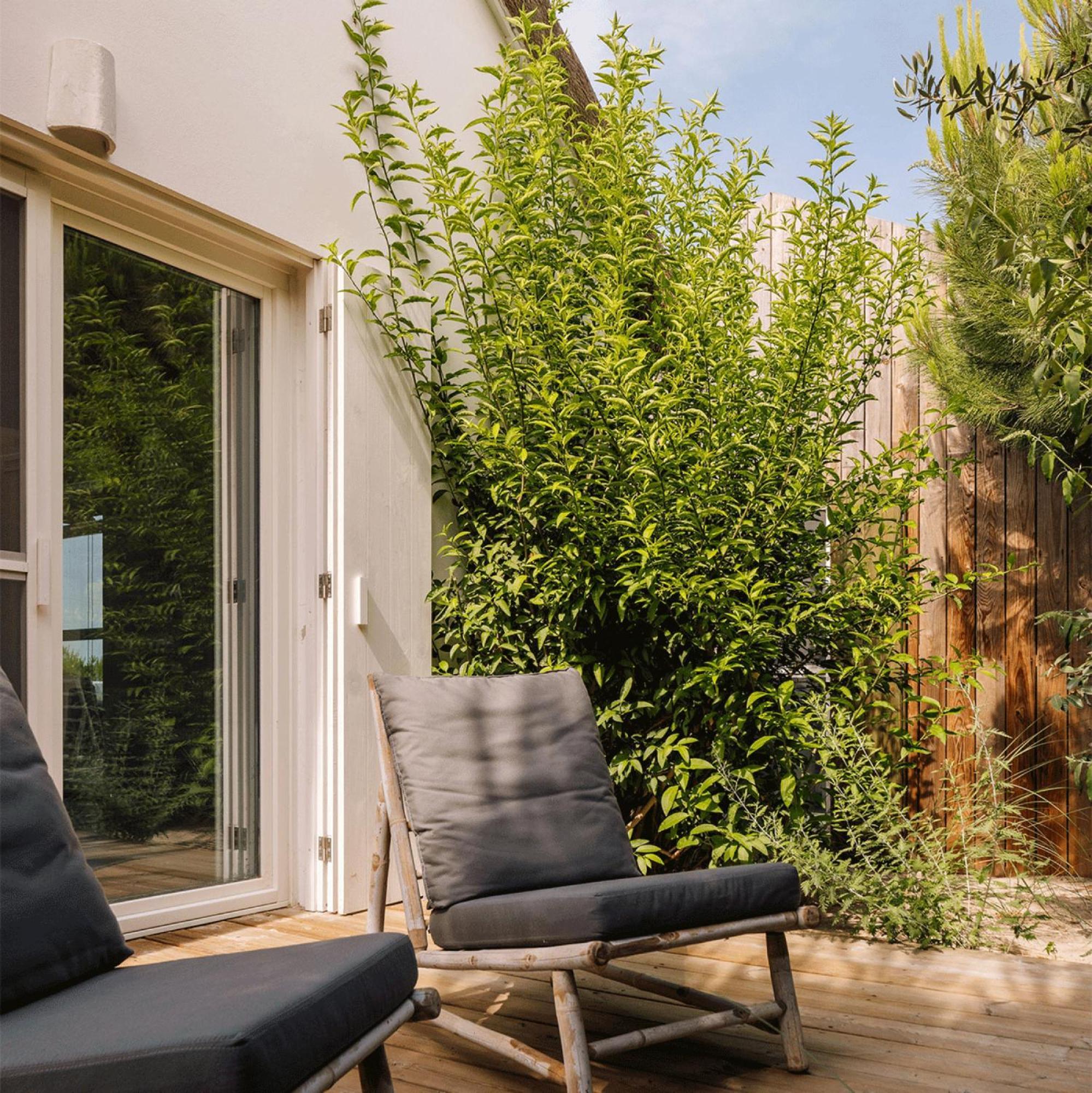 Casas De Arroz Villa Comporta Ngoại thất bức ảnh